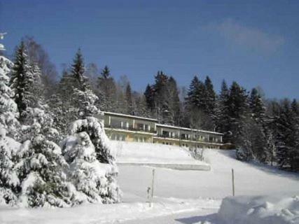 Birkenhof - Schimek Apartman Bürserberg Kültér fotó
